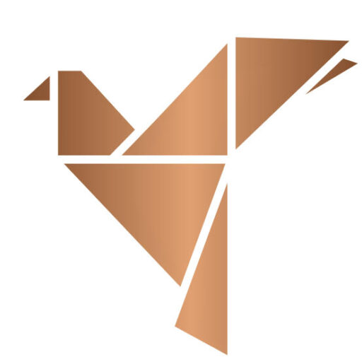 Paradigm Shyft bird logo